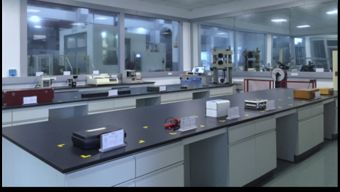 保一集團(tuán)檢測中心順利通過CNAS現(xiàn)場評審，助力飼料添加劑生產(chǎn)質(zhì)量提升