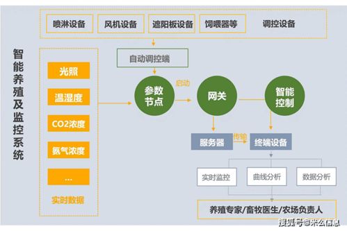 養(yǎng)殖系統(tǒng)開發(fā) 信息系統(tǒng)集成服務(wù)推動傳統(tǒng)水產(chǎn)養(yǎng)殖業(yè)變革